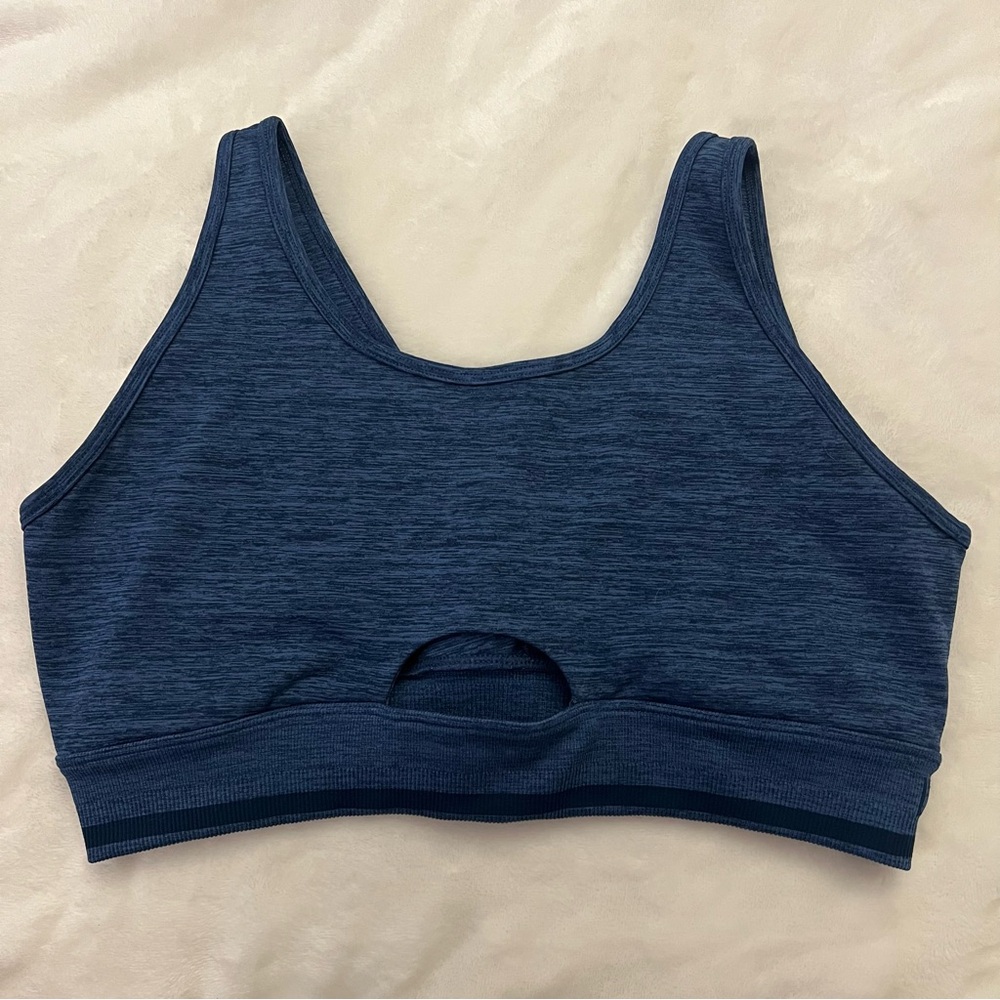 Buffbunny Baked Blue BBL Seamless Reversible Sports Bra Size XL